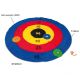 Frisbee Target Game by BS Toys