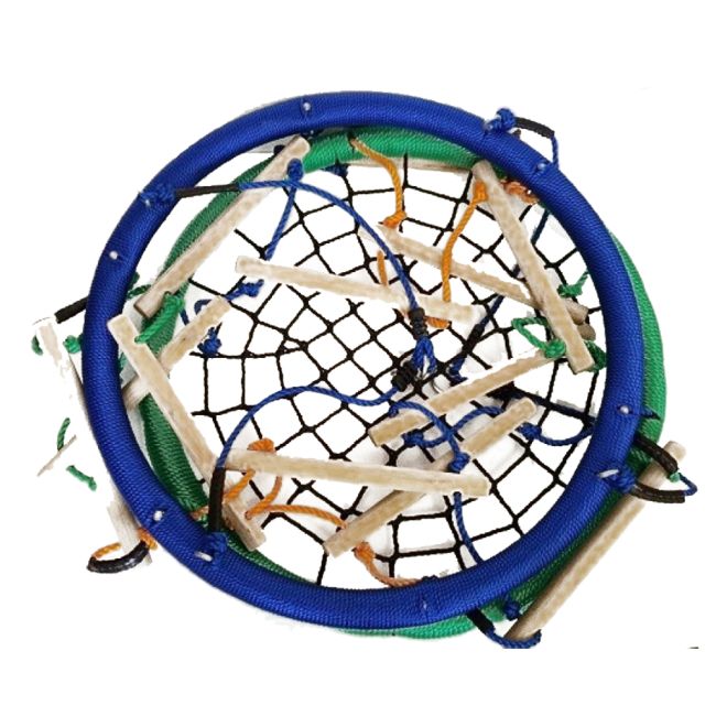 Circular Nest Swing with Climbing Ladder